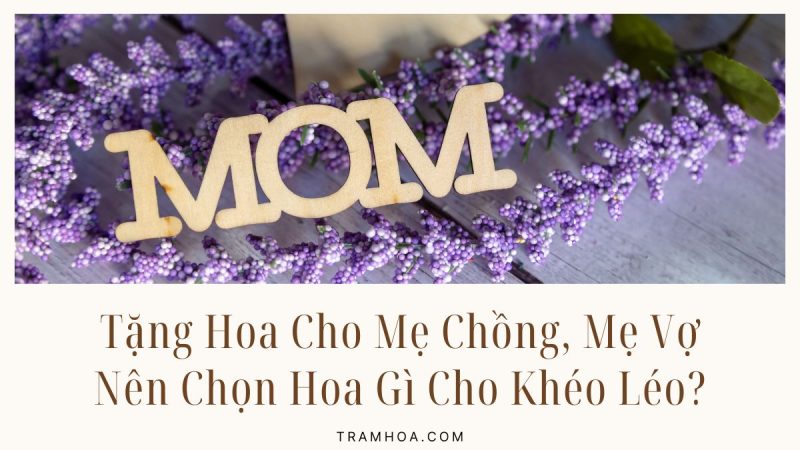 Tặng Hoa Cho Mẹ Chồng, Mẹ Vợ Nên Chọn Hoa Gì Cho Tinh Tế Và Ý Nghĩa?