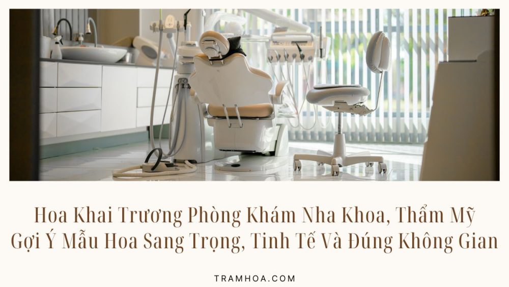 Hoa Khai Trương Phòng Khám Nha Khoa, Thẩm Mỹ: Gợi Ý Mẫu Hoa Sang Trọng, Tinh Tế Và Đúng Không Gian