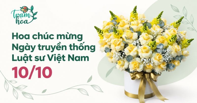 Hoa chúc mừng Ngày truyền thống Luật sư Việt Nam 10/10, thiết kế Trạm Hoa với hộp hoa vàng kem