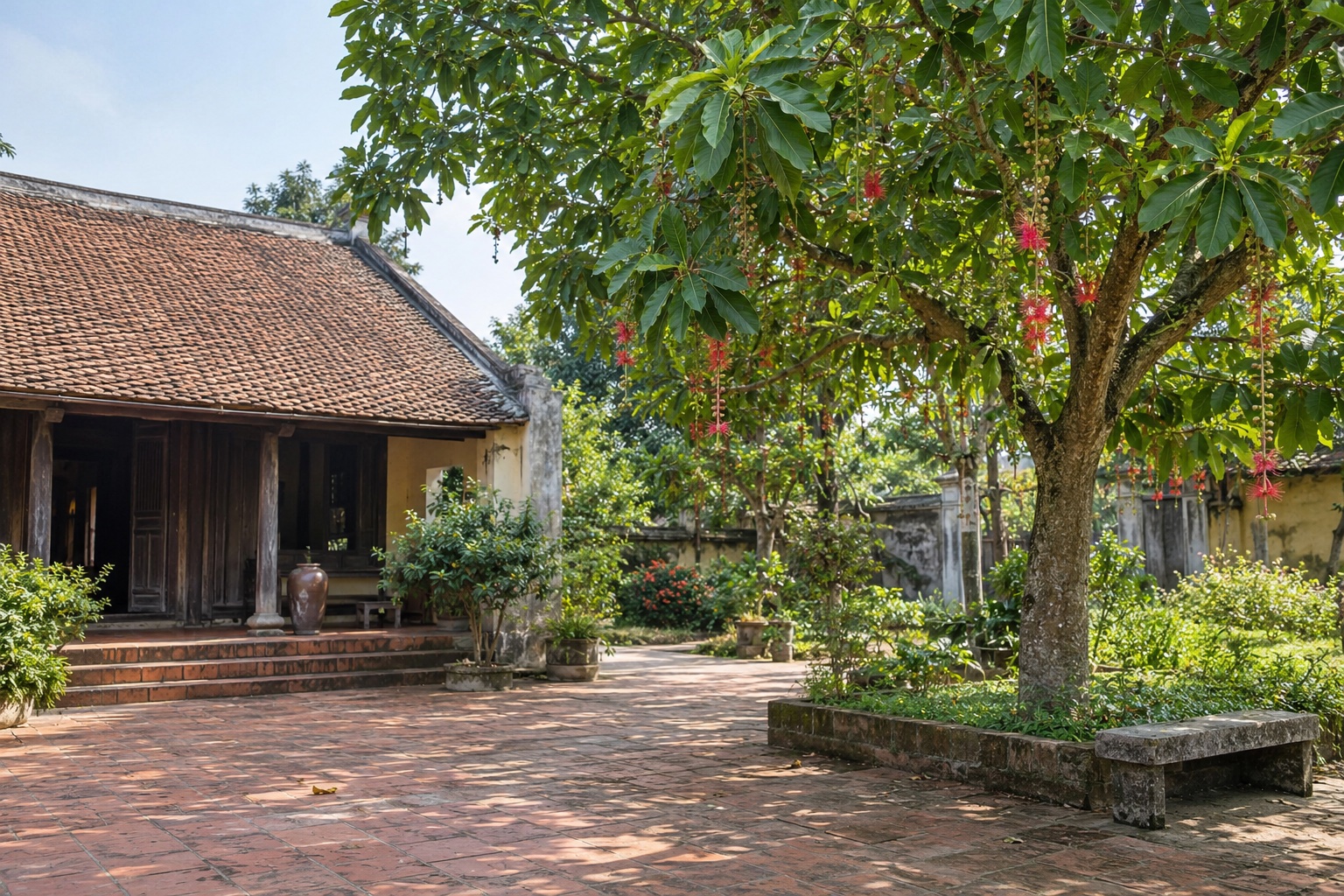 Cây lộc vừng tán xanh và hoa đỏ trong sân gạch cạnh nhà mái ngói