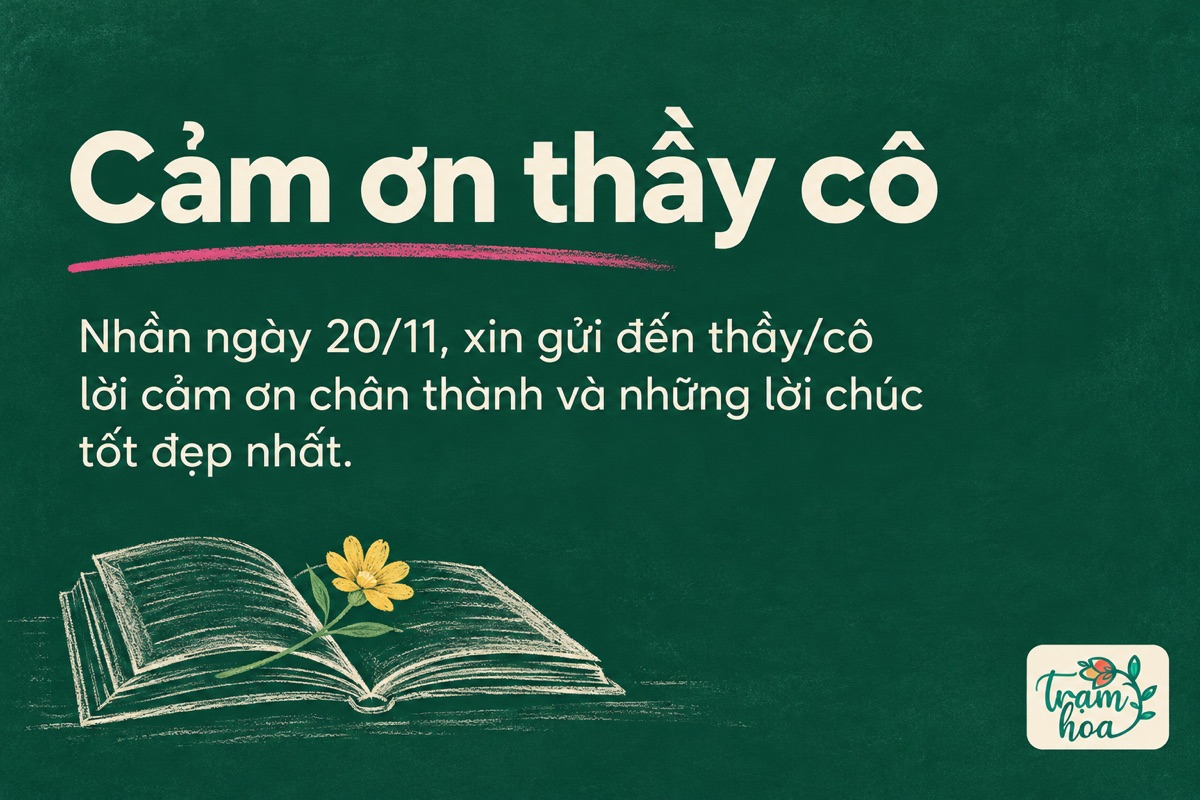 Thiệp 20/11 nền bảng xanh với lời cảm ơn chân thành gửi thầy cô